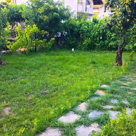 Alpin Guest House Sapareva Banya Bagian luar foto