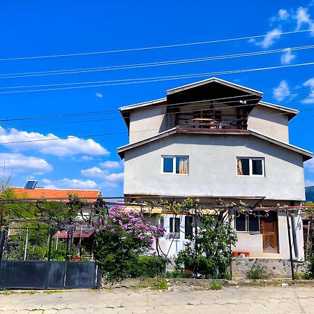 Alpin Guest House Sapareva Banya Bagian luar foto